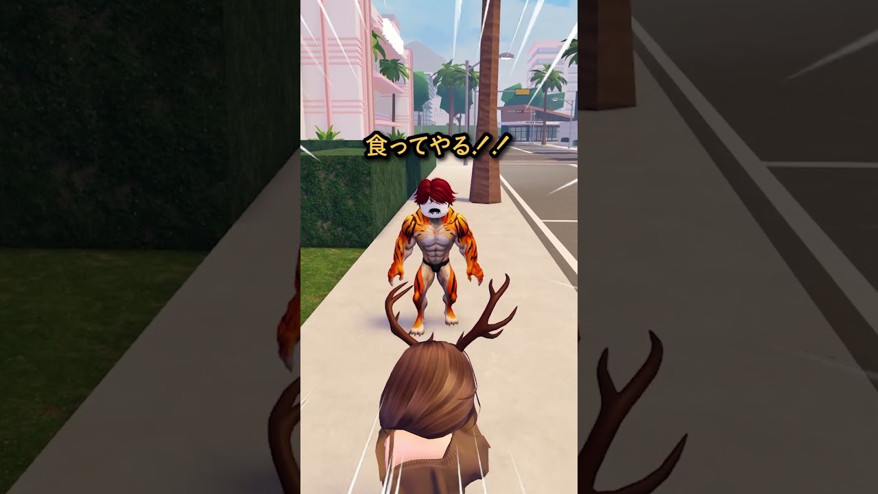 動物の力を抽選する