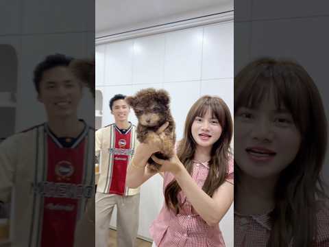 Được Ông Chã Húi Tặng Quà Bất Ngờ Và Cái Kết | Tiểu Ngáo #Shorts