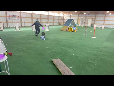 Zest lesson 6 side changes right