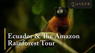 Ecuador &amp;amp; The Amazon Rainforest Tour (Series 4 of 5)