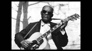 rev. Gary Davis - Horse Thief's Blues
