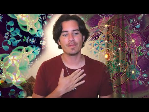 Day 53 APPREHEND - Matias De Stefano - English Edit