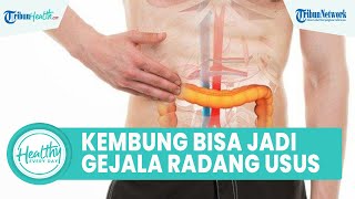 Waspadai Perut Kembung Bisa Jadi Gejala Radang Usus, Kenali Tandanya untuk Deteksi Dini