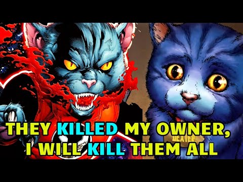 Dex-Starr Origins - Universe's Most Angriest And Powerful Cat,  Her Backstory Will Break Your Heart