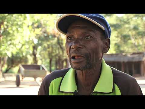 LEGENDS OF CHIMURENGA 2 (THE STORY OF CDE SHUNGU)#celebratingbeingzimbabwean