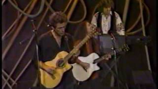 Lindsey Buckingham ~  Don't Look Down ~  Live