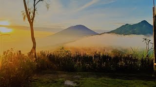 Bali Sunrise Camp & Glamping | Bali, Indonesia | Hotel Review🏠