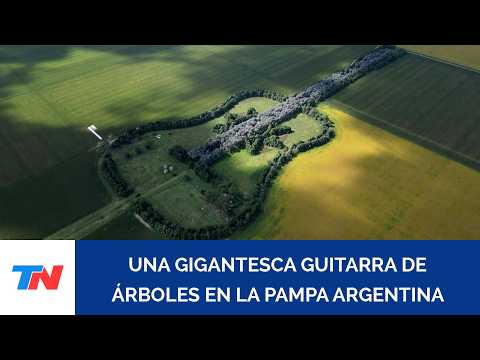 Una gigantesca guitarra de árboles en General Levalle, Argentina: tributo a un amor eterno
