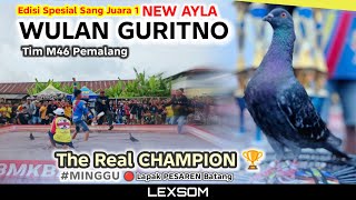 Download lagu 🔴 Edisi Spesial; WULAN GURITNO' Tim M46 Sang Juara 1 Mobil New Ayla LAPAK PESAREN #Minggu mp3