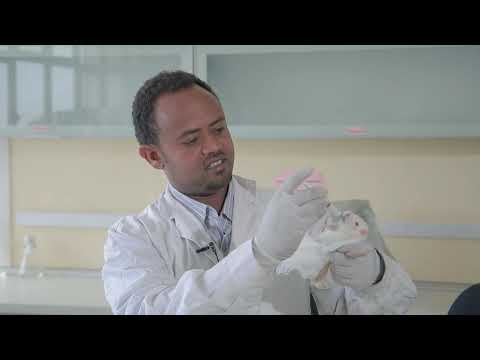 EPHI Documentary for the 4th Scientific Congress