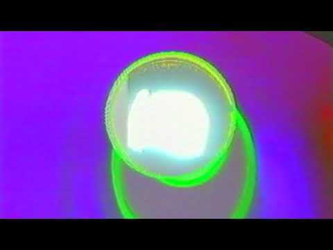 Video thumbnail for ​The Window
