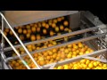 Florida Orange Juice From The Grove To Your Glass