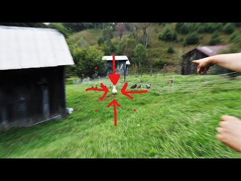 He STOLE From Right Under Her Nose!