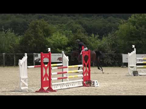 Petrus de Brandegem - 5 ans Qualification Le Pin