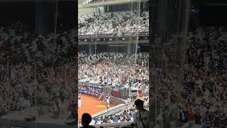 【PREMIER12 STARS】日本VS韓国@台北ドーム20241115 #台湾チア #cheerdance #cheerleading #啦啦隊 #韓国チア #premier12stars