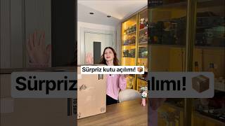 Eşimin Sipariş Ettiği Gizemli LEGO Kargosunu Açıyorum! 📦