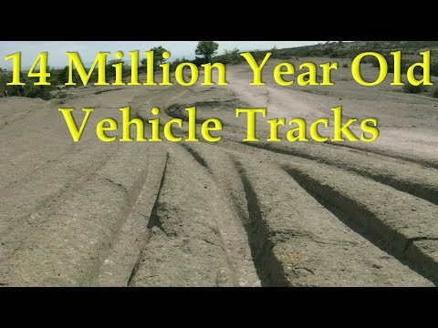 Alexander Koltypin "14 Million Year Old Vehicle Tracks"