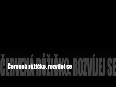 Červená růžičko, rozvíjej se