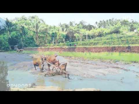 Virtual band-sepi alam desa