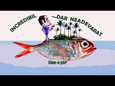 INCREDIBIL, DAR NEADEVĂRAT! cu Dem Rădulescu - Ora Veselă 🎭 Teatru Radiofonic Subtitrat