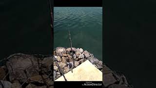 preview picture of video 'Mancing di Danau Toba BALIGE'