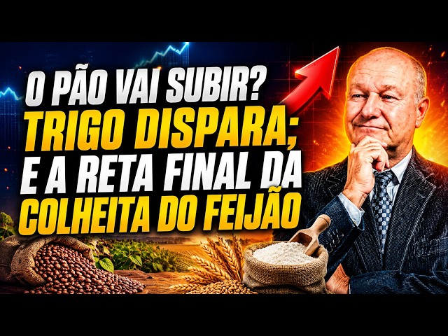 O Pão Vai Subir? Trigo Dispara; e a Reta Final da Colheita do Feijão.