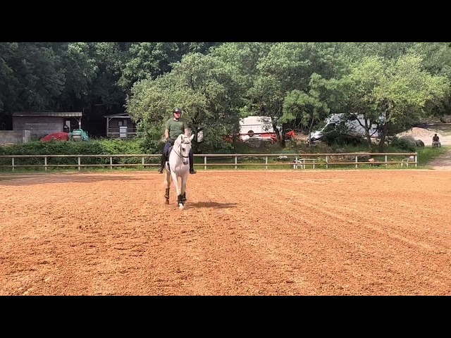 Ruin Lusitano Te koop 2017 Schimmel ,  ARAGAO (PRT)