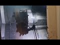 Přehrát video
