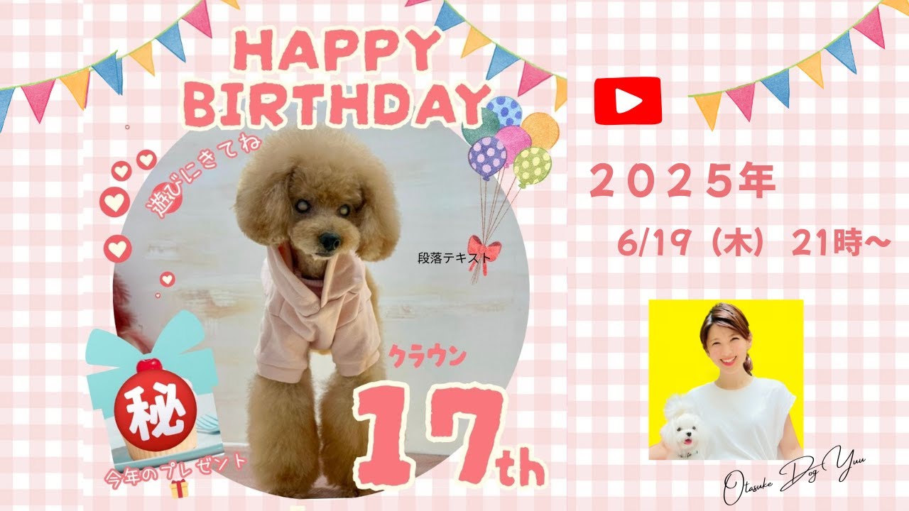 【祝・17歳】盲目の保護犬クラウンさん、お誕生日おめでとうLIVE🎉