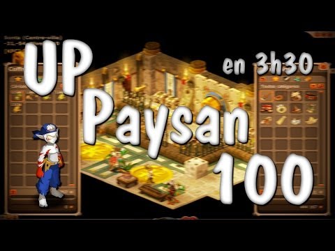 comment monter paysan rapidement dofus