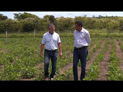 Internos da comunidade Fazenda da Paz planta Feijão-caupi com incentivo da EMBRAPA 29 04 2023