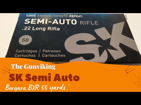 Can SK Semi Auto Deliver Precision at 50m? Bergara BXR Accuracy Test & Review 🇩🇪