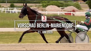 Video-News: PREVIEW EXTREME - Die Vorschau zum Renntag in Berlin-Mariendorf am 21. Juni 2020