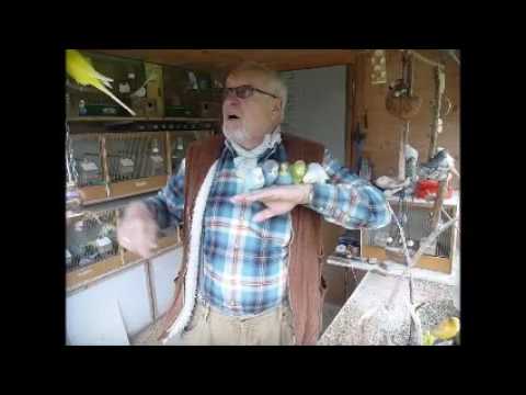 2017 05 04 Der WEllifluestererfilm des Tages