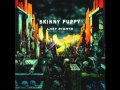Download - Skinny Puppy 