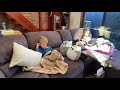 The Cuddlies And Their Parents