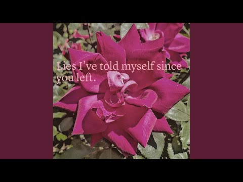 Lies I've told myself since you left