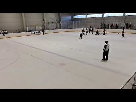 U14c Szekszárdi Jégmadarak---FTC--Telekom B