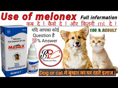 Melonex Oral Suspension