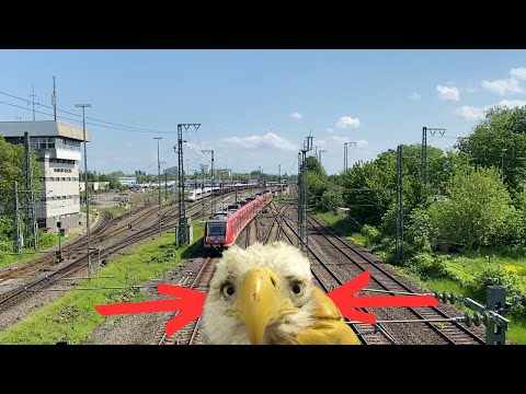 German railroad switches are changing. Very busy multi-lane railway spot near Frankfurt am Main.