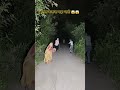 ढोलक बजाना पड़ा Bhoot Bhoot Sr Heits Vlogs Trending Viralvideo Viralshorts