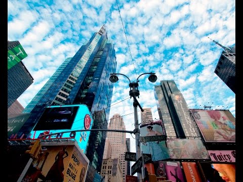 New York Live Wallpaper Video