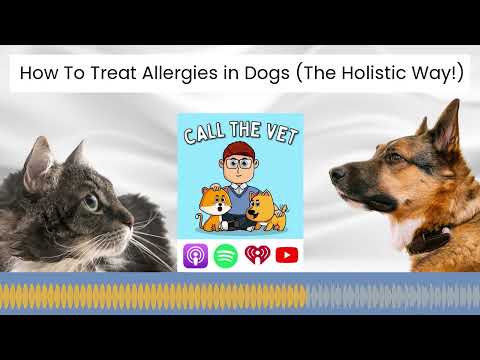 Holistic Approach to Allergy Treatment: Controlling Your Dog's Itch