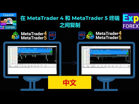 Copier Copylot 交易复制器视频｜MT4/MT5 复制交易演示