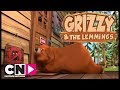 Ayılar Giremez Grizzy Ve Lemmingler Boomerang Kuşağı