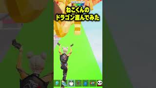 ねこくんのドラゴン盗んでみた！！【フォートナイト/Fortnite】 #ブレインロット