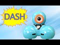 Dash Robot From Wonder Workshop