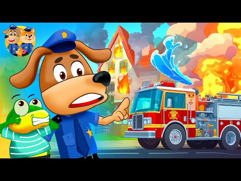 Макс і Твікс рятують їжачка