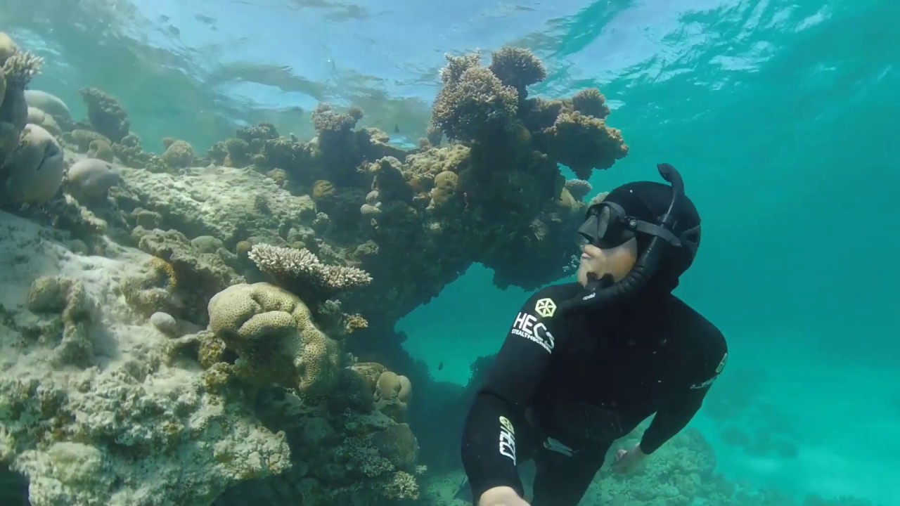 Insta360 Dive Case (ONE X) Kamera Express