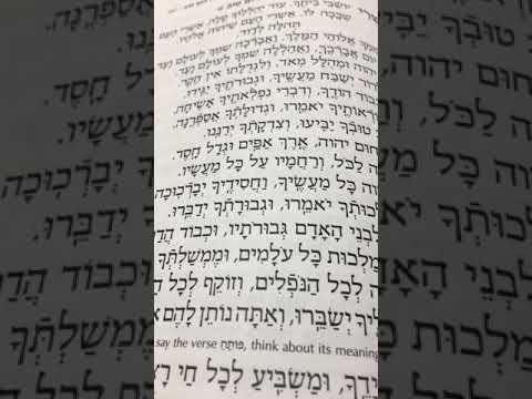 Chazan Nathan Gluck - Nusach Shabbos Mincha Part 1